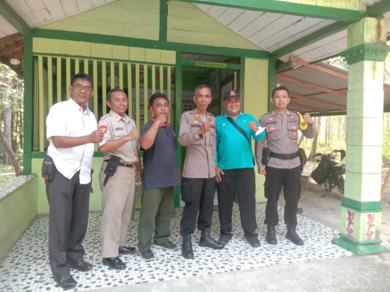 wmremove-transformed