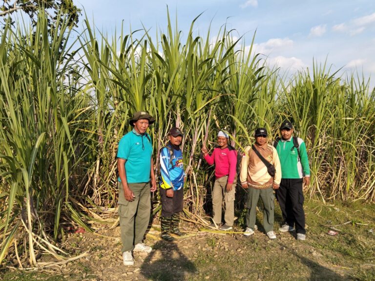 wmremove-transformed(1)