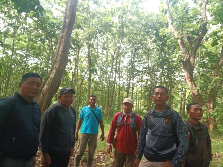 WhatsApp-Image-2025-12-23-at-16.42.4411-1