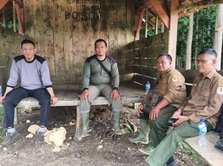 wmremove-transformed13