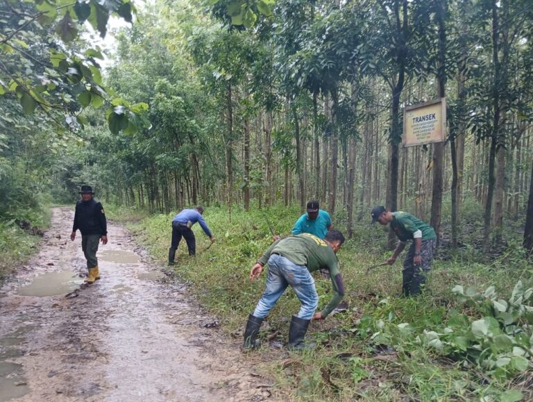 WhatsApp-Image-2026-01-23-at-09.47.27