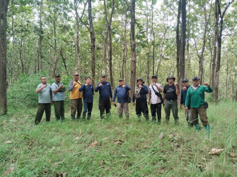 bd43a84c-2037-4dc9-926e-fc2ebdfeadcc_0