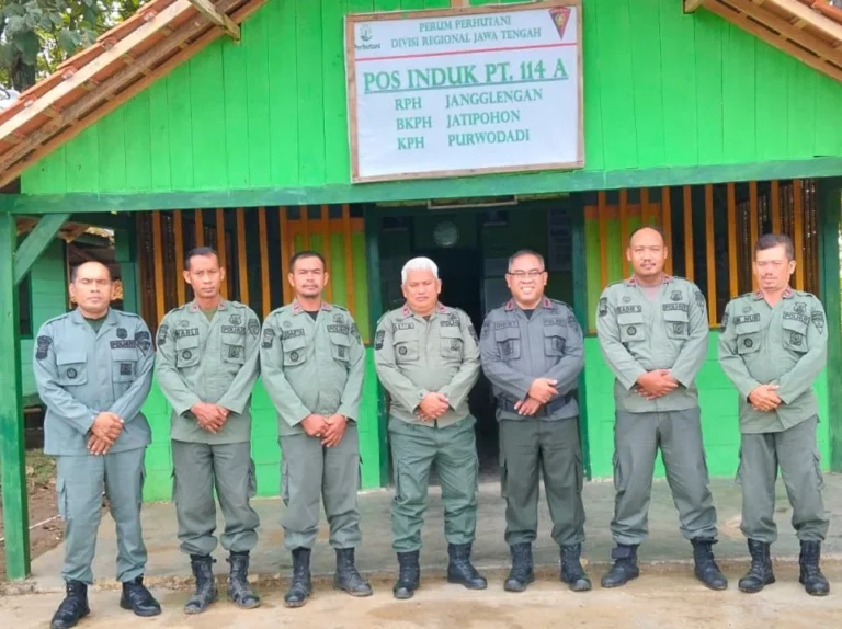 WhatsApp-Image-2026-03-25-at-13.25.02